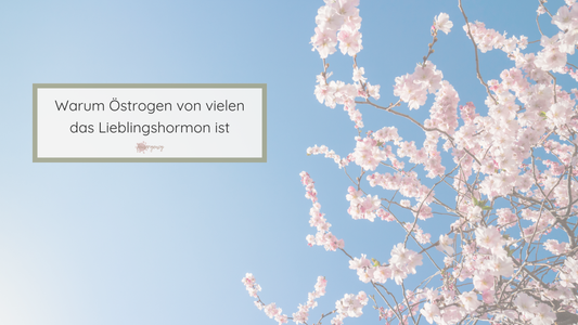 Die erste Zyklushälfte verstehen: Was Östrogen in deinem Körper bewirkt und wie du es bei dir erkennen kannst