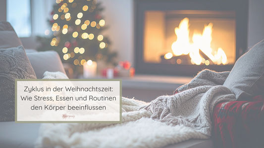 Winterliche Wohnszene mit Kaminfeuer, Decke und gedämpftem Licht, darüber der Titel „Zyklus in der Weihnachtszeit: Wie Stress, Essen und Routinen den Körper beeinflussen“