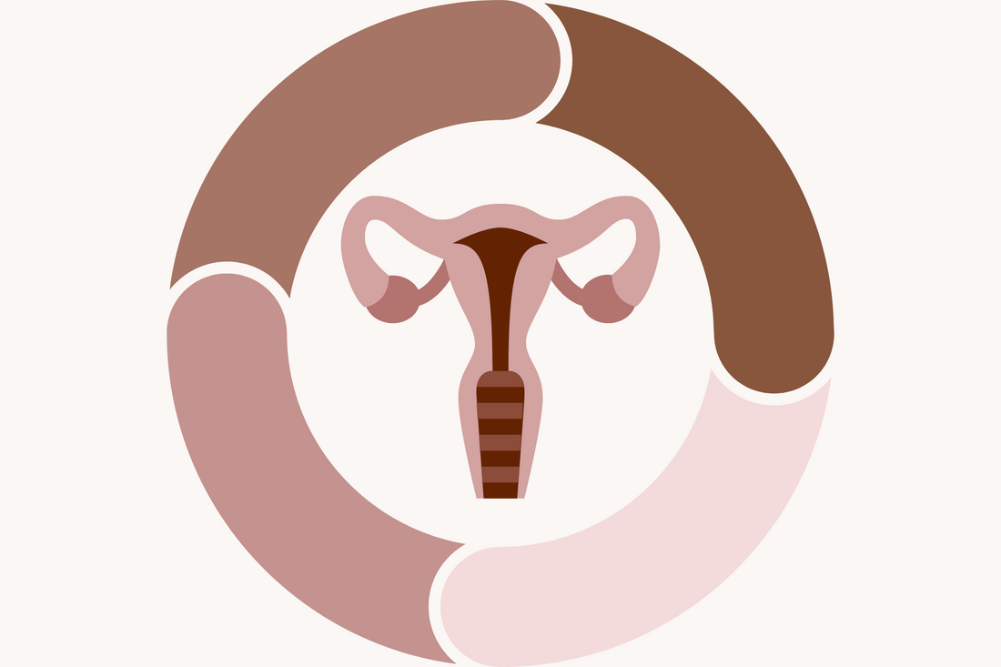 Der Muttermund im Zyklus: was sich wann verändert